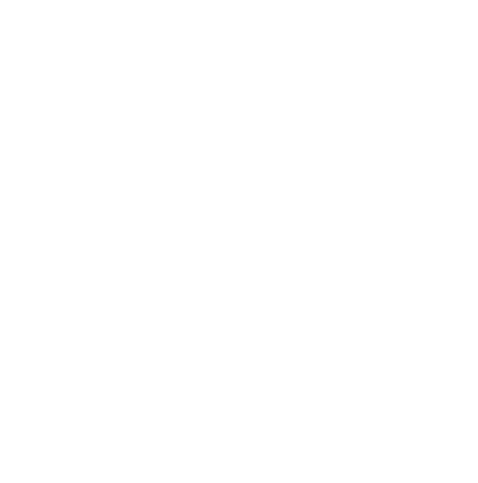theholidaycompany.in